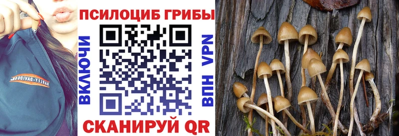 Псилоцибиновые грибы мухоморы Верхотурье
