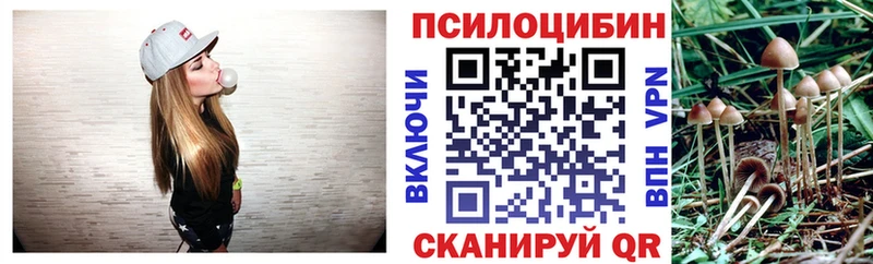 MEGA ТОР  Верхотурье  Псилоцибиновые грибы прущие грибы 
